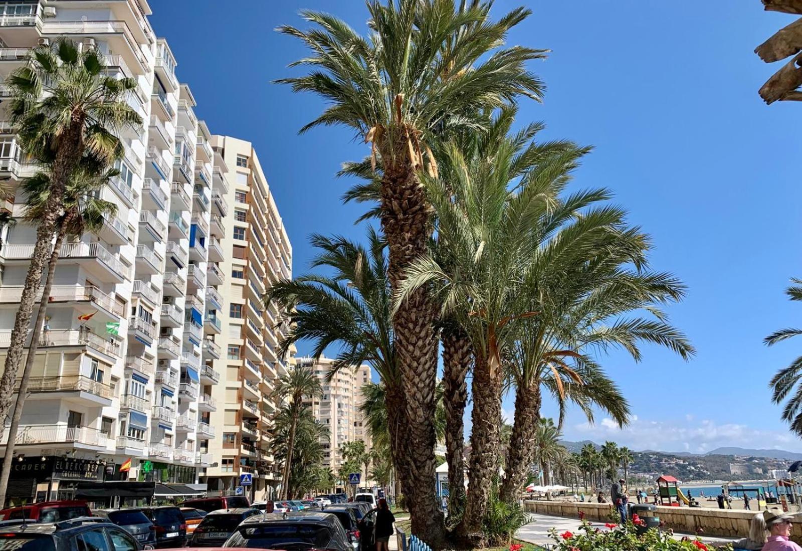 Estudio En Playa La Malagueta Màlaga Exteriér fotografie